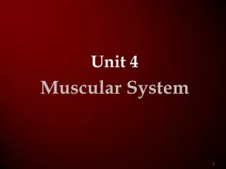 Unit 4 Muscular System