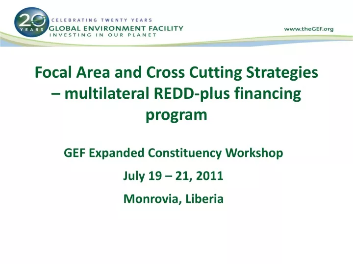 focal area and cross cutting strategies multilateral redd plus financing program
