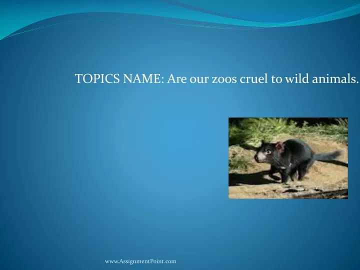 topics name are our zoos cruel to wild animals