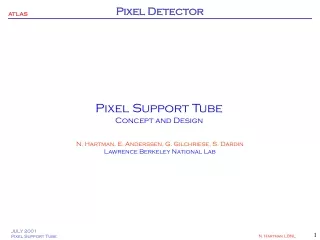 Pixel Support Tube Concept and Design