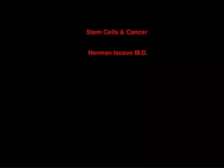 Stem Cells &amp; Cancer