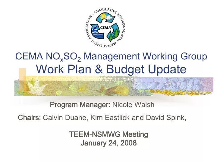 cema no x so 2 management working group work plan budget update