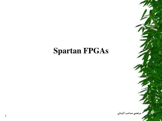 Spartan FPGAs
