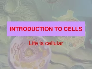 INTRODUCTION TO CELLS