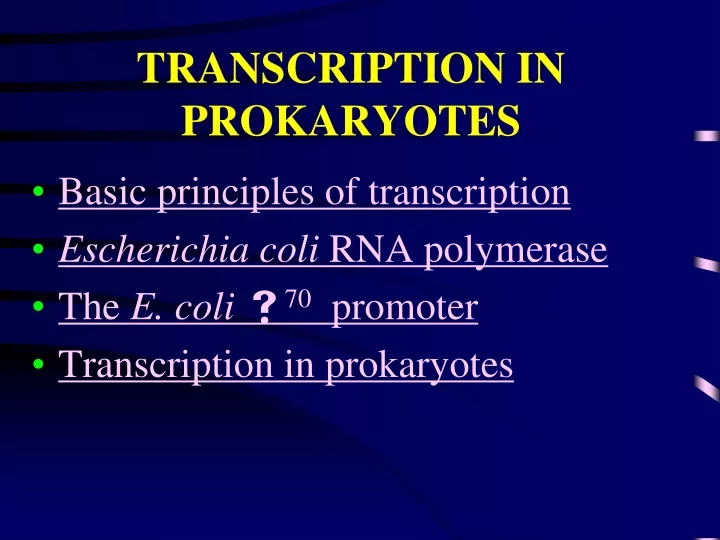 transcription in prokaryotes
