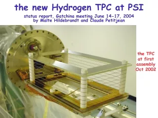 the new Hydrogen TPC at PSI status report, Gatchina meeting June 14-17, 2004