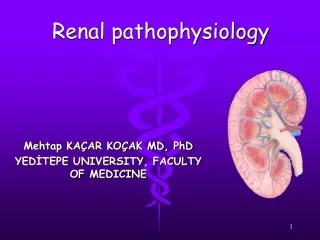 Renal pathophysiology