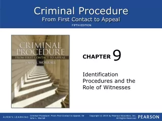 Identification Procedures and the Role of Witnesses