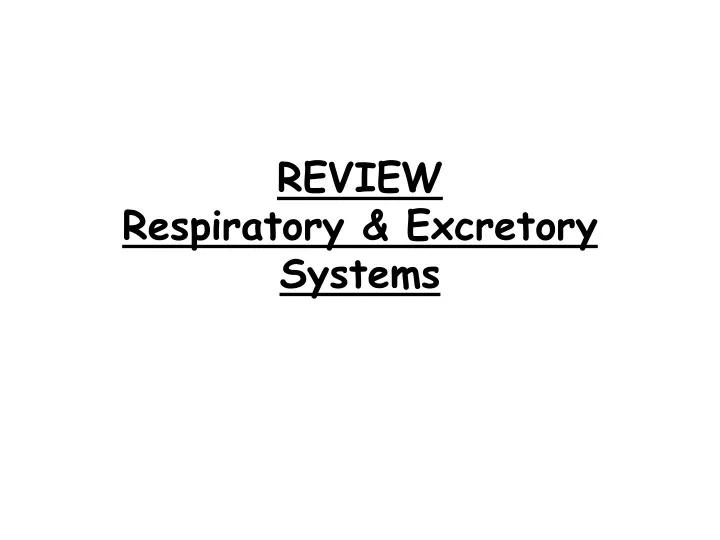 review respiratory excretory systems