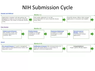 NIH Submission Cycle