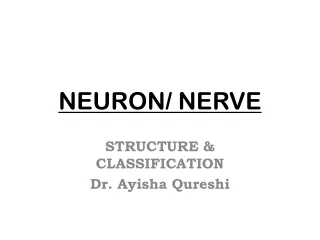 NEURON/ NERVE