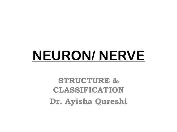 neuron nerve