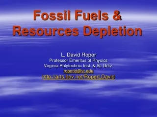 Fossil Fuels &amp; Resources Depletion