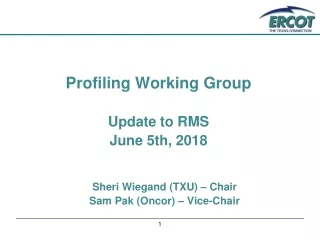 Profiling Working Group Update to RMS June 5th, 2018 Sheri Wiegand (TXU) – Chair