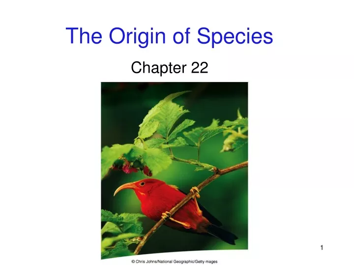 the origin of species chapter 22
