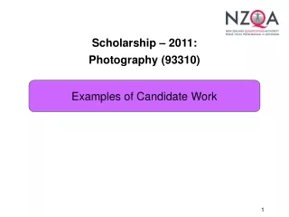 Scholarship – 2011: Photography (93310)