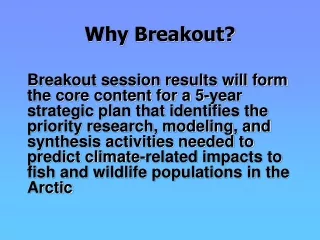 Why Breakout?