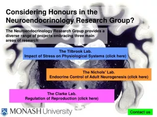 Considering Honours in the Neuroendocrinology Research Group?