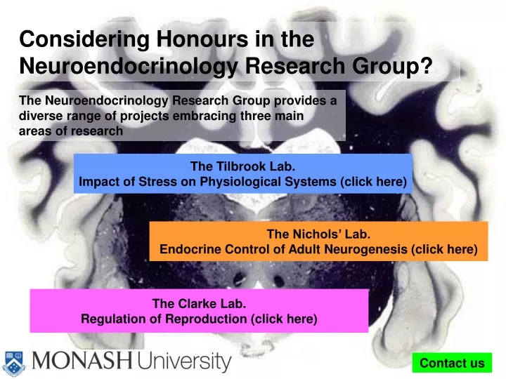 considering honours in the neuroendocrinology