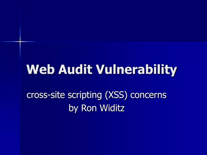 web audit vulnerability