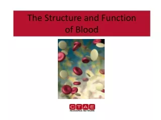 The Structure and Function  of Blood