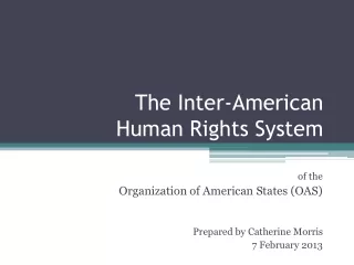 The Inter-American Human Rights System