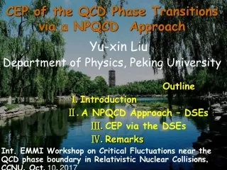 CEP of the QCD Phase Transitions   via a NPQCD  Approach