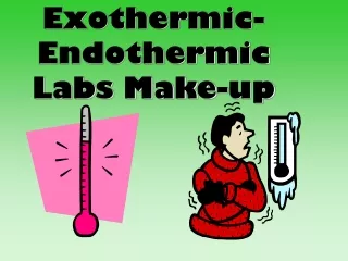 Exothermic-Endothermic Labs Make-up