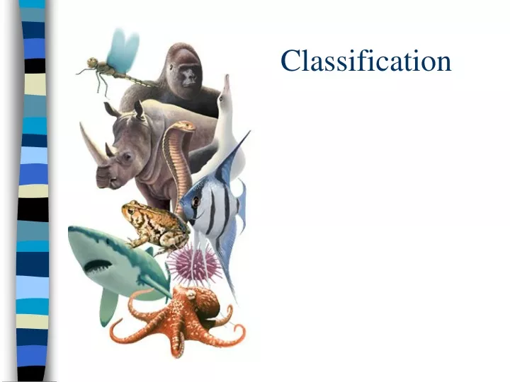 classification