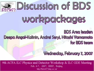 Discussion of BDS  workpackages