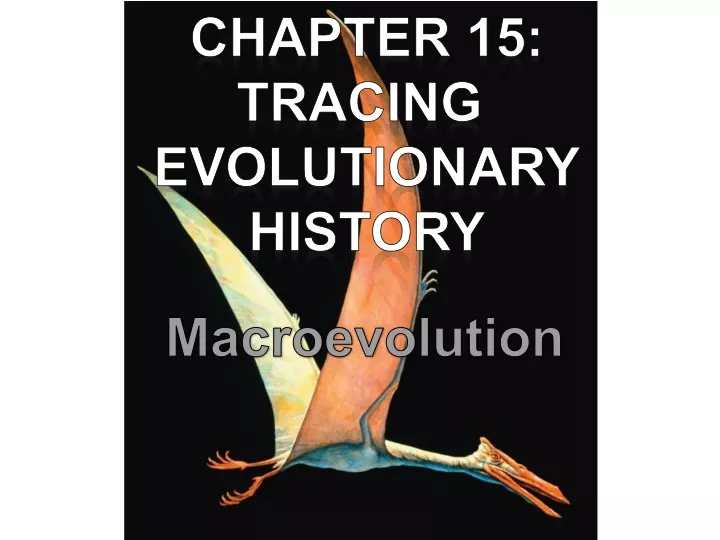 chapter 15 tracing evolutionary history