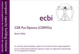 CER Put Options (CERPOs) Benito M üller