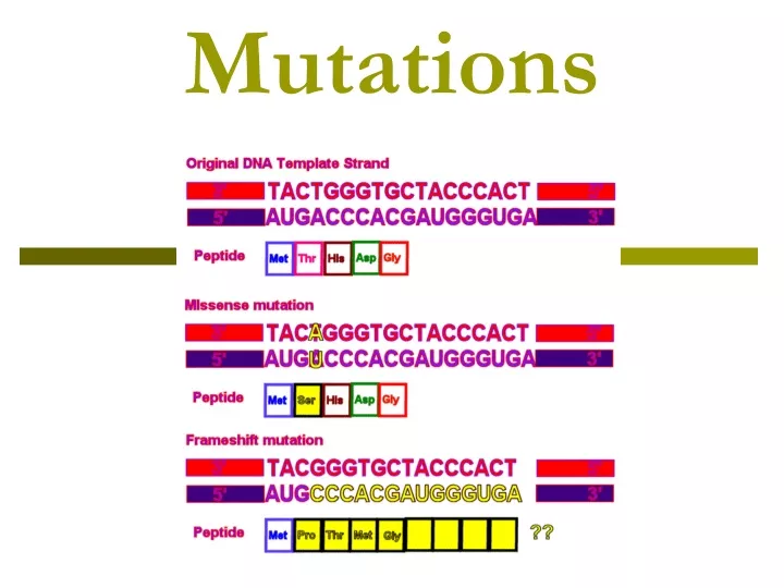 mutations