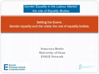 Setting the Scene.  Gender equality and the crisis: the role of equality bodies.