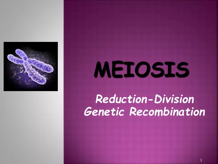 meiosis