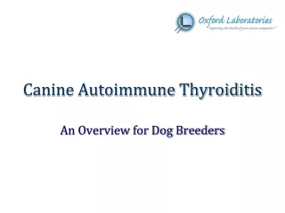 Canine Autoimmune Thyroiditis