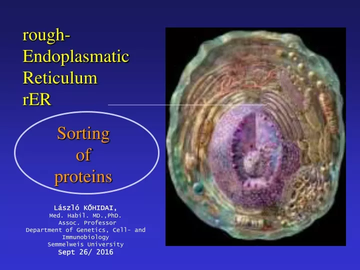 rough endoplasmatic reticulum rer