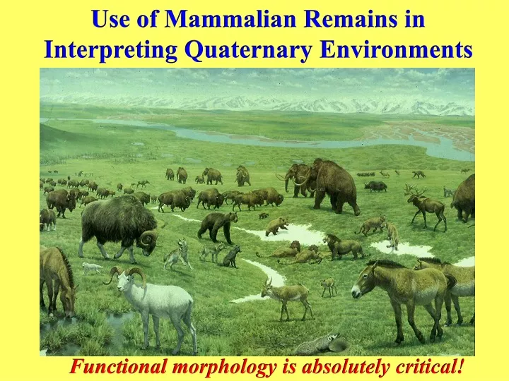 use of mammalian remains in interpreting
