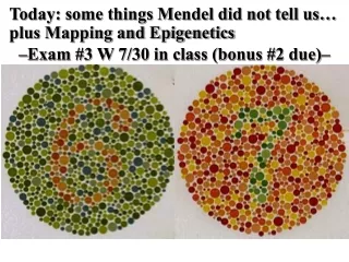 Today: some things Mendel did not tell us… plus Mapping and Epigenetics