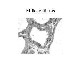 Milk synthesis