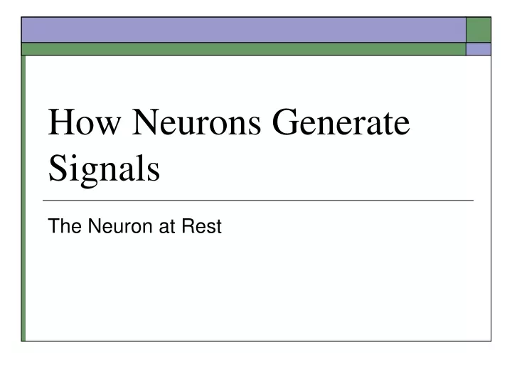 how neurons generate signals