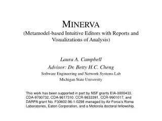 M INERVA (Metamodel-based Intuitive Editors with Reports and Visualizations of Analysis)