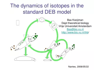 The dynamics of isotopes in the standard DEB model