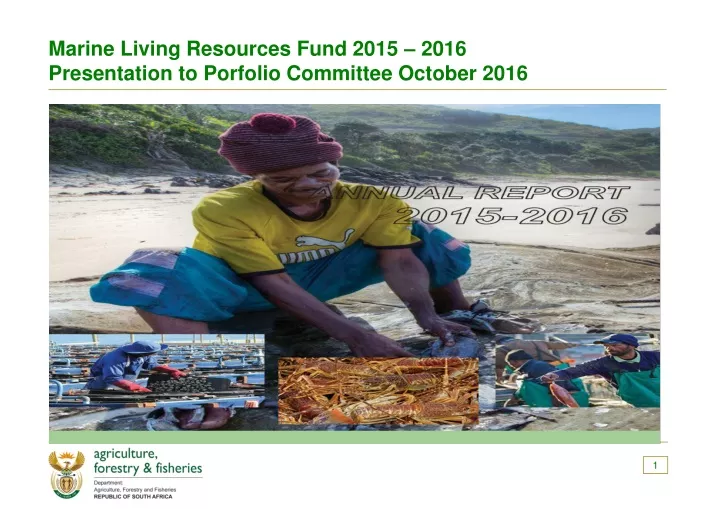 marine living resources fund 2015 2016 presentation to porfolio committee october 2016