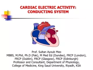 CARDIAC ELECTRIC ACTIVITY: CONDUCTING SYSTEM