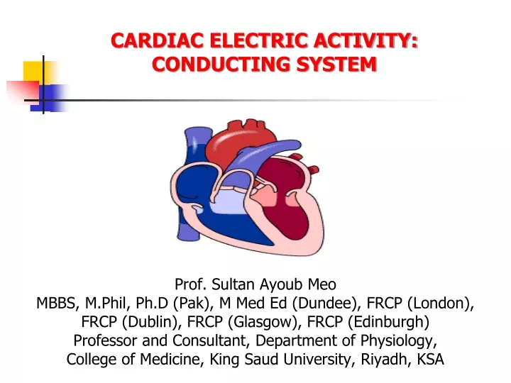 cardiac electric activity conducting system