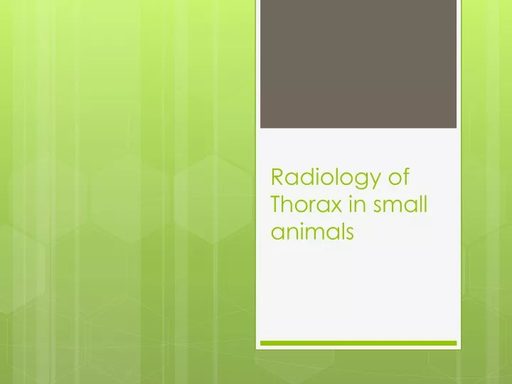 radiology of thorax in small animals