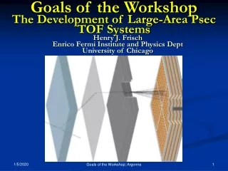 Goals of the Workshop The Development of Large-Area Psec TOF Systems