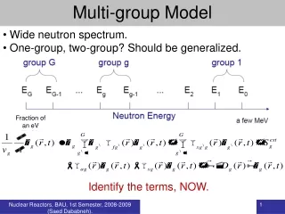 Multi-group Model