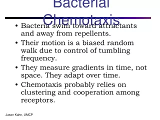 Bacterial Chemotaxis